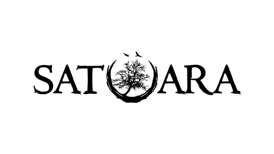 Grafično oblikovanje logotipa Satuara